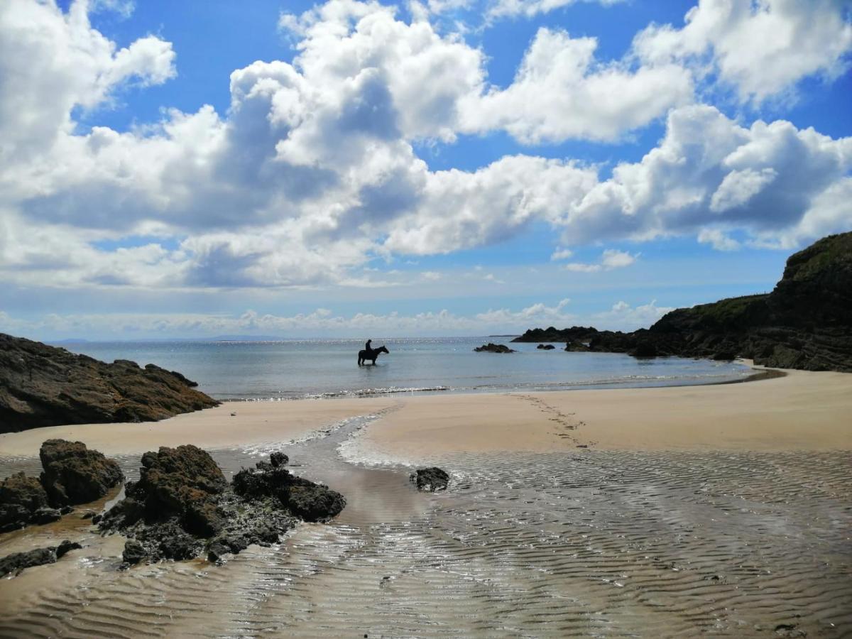 Seawinds Bed And Breakfast Killybegs Eksteriør billede
